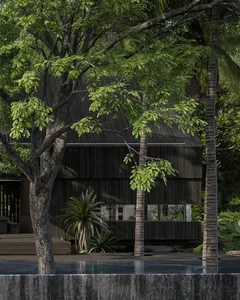 Modern minimalist home with wooden exterior and large windows surrounded by lush greenery.