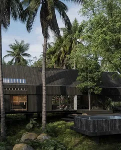 A modern house exterior surrounded by tropical vegetation and trees.