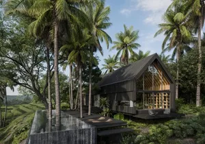 Modern wooden vacation home surrounded by tropical plants and palm trees.