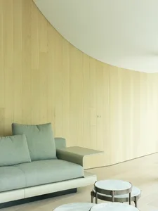 Modern-style living room featuring curved wooden walls and minimalist furniture.