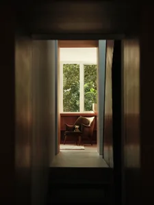 A modern window view featuring wood, a plant, and a mat.