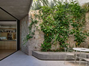 Modern interior space featuring natural stone walls and greenery