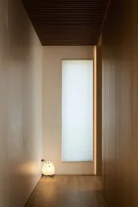 A modern interior hallway with wooden walls and a floor lamp.
