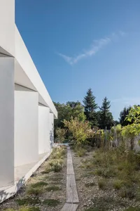 A minimalist residential exterior with concrete walls and a garden path.