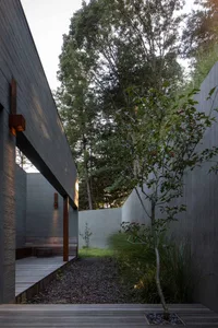 A modern exterior pathway made of wood surrounded by trees and plants.