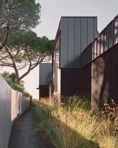 Modern home exterior with black metal roof and reclaimed wood siding
