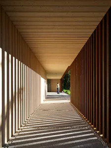 A modern interior space with wooden panels, featuring natural light and geometric patterns.