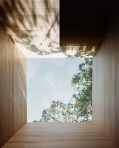 Modern interior with wooden walls and ceiling, showing a minimalist design with natural light and tree views.