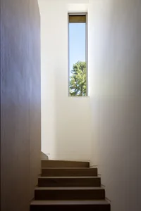 A modern staircase with wooden steps illuminated by natural light from a narrow vertical window.
