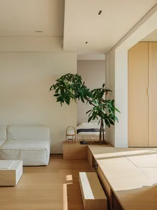 現代簡約客廳，搭配木質家具、白色沙發與大型綠植。