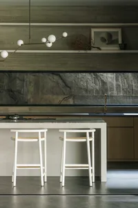 Modern kitchen with concrete counter and minimalist design