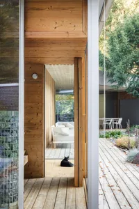 A modern residential interior with wood walls, glass windows, and a black cat sitting on the floor.