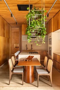 Modern kitchen featuring wooden furniture, pendant plant, and sleek design