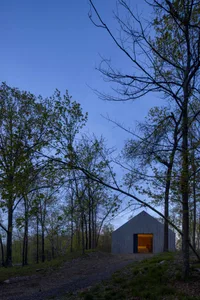 A modern residential wood shed nestled among trees.
