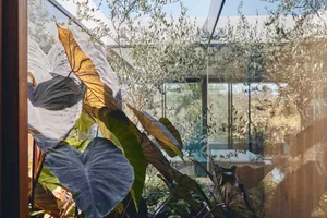 A lush indoor garden with various plants visible through a glass window, showcasing a serene and natural atmosphere.