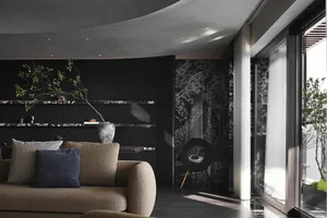 A modern living room featuring dark wood and marble elements.