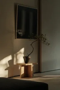 A minimalist modern interior design featuring wood furniture, with a bonsai tree in a small vase on a wooden side table and a