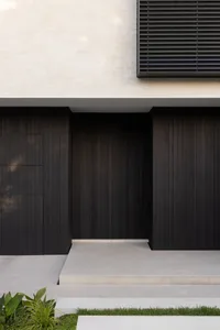 Concrete and wood modern entrance door