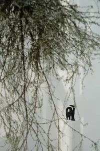 A minimalist black metal sculpture on a white pedestal, surrounded by hanging greenery.