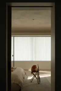 Minimalist bedroom with furniture, windows, and light
