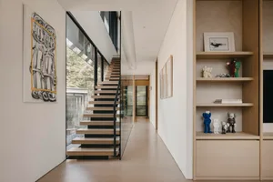 Modern residential entrance featuring timber stairs and white walls.