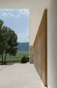 Modern exterior design featuring wooden panels and stone walls.