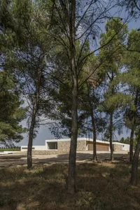 A modern residential architecture featuring stone cladding and large windows surrounded by greenery.