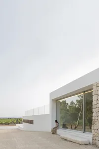 A minimalist residential exterior with a concrete wall and large window overlooking a vineyard.