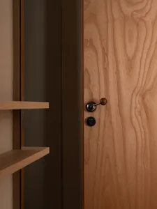 A modern interior wooden door with a dark wood finish and a simple, sleek design.