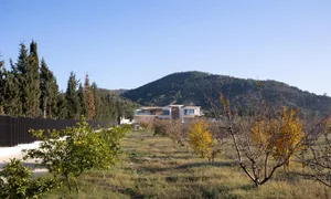 Modern residential building with concrete walls and greenery