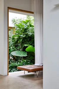 A modern living space featuring a brown leather couch with a metal frame, positioned in front of lush green plants.