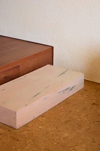 Minimalist furniture with a camera on top made from wood.