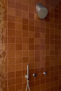 Modern bathroom with metallic shower head attached to orange terracotta tiles wall