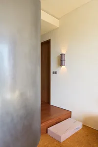 A modern minimalist entrance with wooden stairs and lighting.