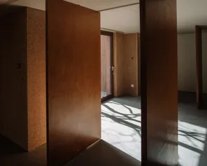 A modern, minimalist interior design showcasing an opaque wooden door with a textured surface, set against a concrete floor a