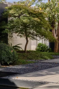 An urban landscaping design featuring stone, soil, and various plants.