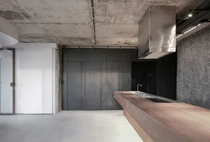 現代簡約廚房，採用混凝土、深色木質櫥櫃與不鏽鋼家電。