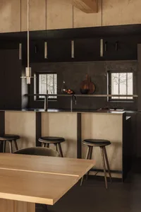 Minimalist modern kitchen featuring concrete countertops and minimalist design.