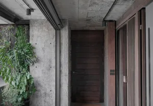 Modern minimalist entrance featuring a dark wooden door and concrete walls.