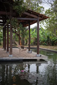 A minimalist wooden lounge area by a tranquil pool with lush vegetation in the background.