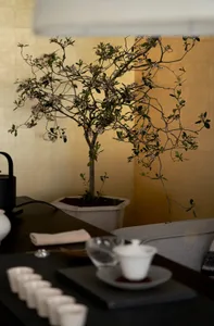 A modern tea setting with a ceramic plant on a black table with a grey cushion.