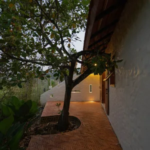 A modern terrace featuring a brick pathway surrounded by greenery with a white-washed wall and a single light source.