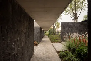 A modern exterior architectural design featuring a wall made of concrete with a garden area.
