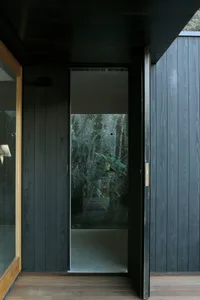 A wooden doorway with a glass panel and a plant visible through it.