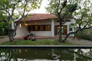 A modern residential cottage with a pool surrounded by greenery and a bicycle parked nearby.