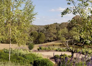 Mixed media landscape garden with trees, shrubs, and a pond.