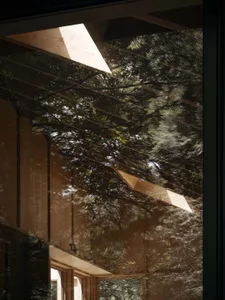 A modern interior with wooden walls and a glass ceiling.