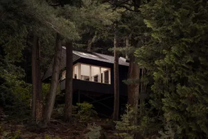 A modern treehouse with a wooden frame surrounded by dense green trees.