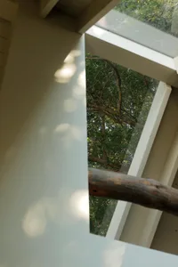 Inner view of a window through the railing, showing tree shadows and daylight