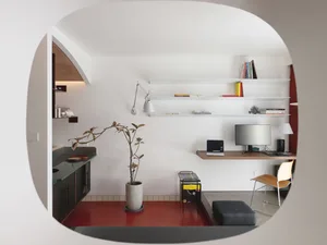 A minimalist living space with modern furnishings, including a white shelf, a computer desk, and a potted plant.